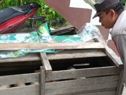Polsek Timpah Melaksanakan Pengecekan Pemanfaatan Lahan Pekarangan Warga Desa Tumbang Randang