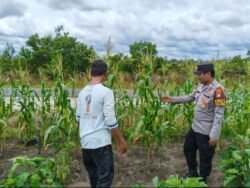 Polsek Timpah Melaksanakan Pengecekan Pemanfaatan Lahan Pekarangan Warga Desa Tumbang Randang