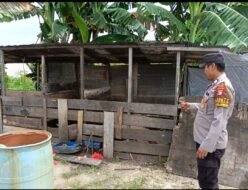 Polsek Timpah Melaksanakan Pengecekan Pemanfaatan Lahan Pekarangan Warga Desa Tumbang Randang