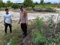 Polsek Timpah Melaksanakan Pengecekan Pemanfaatan Lahan Pekarangan Warga Desa Tumbang Randang