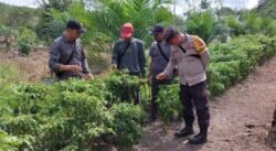 Polsek Kapuas Barat Melalui Polmas Dorong Ketahanan Pangan Lewat Pemanfaatan Pekarangan Pangan Bergizi (P2B)