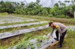 Bhabinkamtibmas Jalin Silahturahmi Kamtibmas Dengan Warga Binaanya Guna Sampaikan Manfaatkan Lahah Guna Gerakan Ketahanan Pangan