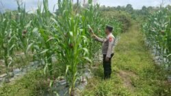 Personil Polsek Jalin Silahturahmi Kamtibmas Dengan Warga Binaanya Guna Sampaikan Manfaatkan Lahah Guna Gerakan Ketahanan Pangan