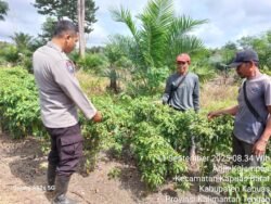 Polsek Kapuas Barat Dorong Ketahanan Pangan Lewat Pemanfaatan Pekarangan