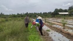 Polsek Kapuas Barat Melalui Polmas Dorong Ketahanan Pangan Lewat Pemanfaatan Pekarangan Pangan Bergizi (P2B)