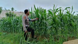 Polsek Kapuas Barat Jalin Silahturahmi Kamtibmas Dengan Warga Desa Sei Pitung Guna Sampaikan Gerakan Ketahanan Pangan