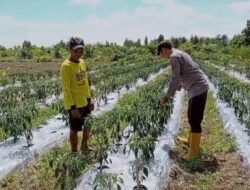 Polsek Kapuas Barat Dorong Ketahanan Pangan Lewat Pemanfaatan Pekarangan