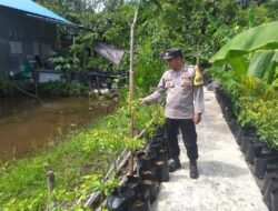 Polsek Kapuas Barat Lakukan Pengecekan Lokasi Pemanfaatan Pekarangan Pangan Bergizi di Bidang Perkebunan