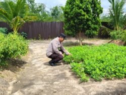 Anggota Polsek Kapuas Tengah laksanakan Pengecekan Pemanfaatan Lahan Pekarangan Desa Pujon