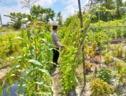 Anggota Polsek Kapuas Tengah melaksanakan Pengecekan Pemanfaatan Lahan Pekarangan warga Desa Pujon