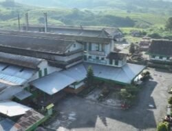 Seabad Pabrik Teh Kayu Aro, Holding Perkebunan Nusantara Jaga Warisan dan Kualitas Teh Indonesia