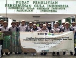 PT RPN Selenggarakan Pelatihan Bongkar Ratoon, Holding Perkebunan Nusantara Perkuat Kompetensi SDM Pergulaan