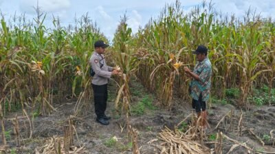 Anggota Polsek Kapuas Tengah melaksanakan Pengecekan Pemanfaatan Pekarangan di Desa Pujon