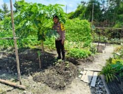 Polsek Kapuas Tengah laksanakan giat Pengecekan Pemanfaatan lahan di Pekarangan Desa Pujonn