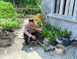 Anggota Polsek Kapuas Tengah telah melaksanakan Pengecekan Pemanfaatan lahan Pekarangan Desa Pujonn