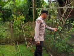 Polsek Kapuas Tengah laksanakan giat Pengecekan Pemanfaatan lahan di Pekarangann Desa Pujon