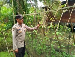 Polsek Kapuas Tengah melaksanakan giat Pengecekan Pemanfaatann lahan Pekarangan di Desa Pujon