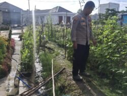 Polsek Kapuas Tengah melaksanakan giat Pengecekan Pekarangan lahan di Desa Jangkang