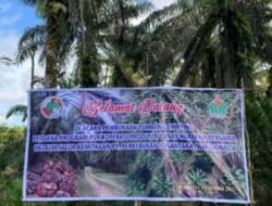 Dorong Keberlanjutan Sawit Rakyat, Holding Perkebunan Nusantara Melalui  PTPN IV Regional V Kawal  PSR di Landak