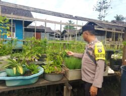 Polsek Kapuas Tengah melaksanakan Pengecekan Pemanfaatan lahan Pekarangan warga Desa Pujon