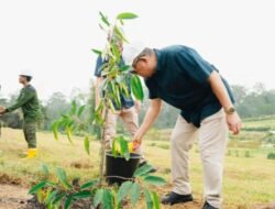 PTPN IV Regional III, Entitas Holding Perkebunan Nusantara Tanam 10.500 Pohon Sepanjang 2025 di Provinsi Riau
