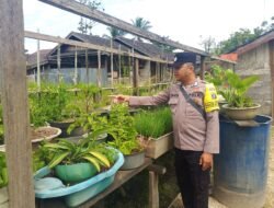 Anggota Polsek Kapuas Tengah melaksanakan kegiatan Pengecekan Pemanfaatan lahan Pekarangan di Desa Pujon