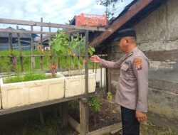 Polsek Kapuas Tengah melaksanakan giat Pengecekan Pemanfaatan lahan Pekarangan Desa Pujon
