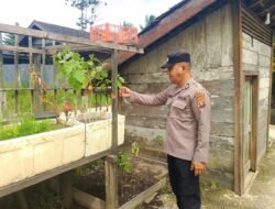 Polsek Kapuas Tengah melaksanakan kegiatan Pengecekan Pemanfaatan lahan Pekarangan di Desa Pujon