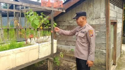 Polsek Kapuas Tengah melaksanakan kegiatan Pengecekan Pemanfaatan lahan Pekarangan di Desa Pujon