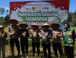 Dukung Swasembada Pangan, Polres Murung Raya Gelar Panen Raya Jagung Kuartal IV di Laung Tuhup