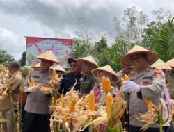 Dukung Swasembada Pangan, Polres Barsel Gelar Panen Raya Jagung