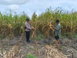 Polsek Kapuas Tengah melaksanakan giat Pengecekann Pemanfaatan lahan Pekarangan Desa Pujon