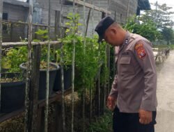 Polsek Kapuas Tengah melaksanakan giat Pengecekan Pemanfaatann lahan Pekarangan Desa Pujon
