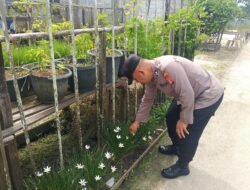 Polsek Kapuas Tengah laksanakan giat Pengecekan Pemanfaatan lahan di Pekarangan Desa Pujon