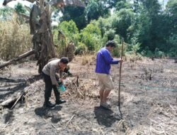 Bhabinkamtibmas Polsek Tanah Siang Selatan Bersama Warga Tanam Jagung Hibrida Kuartal I Ta. 2026