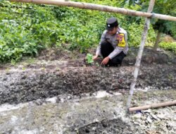 Polsek Kapuas Tengah melaksanakan giat Pengecekan Pemanfaatan lahan di Pekarangan Desa Pujon