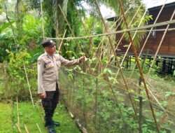 Polsek Kapuas Tengah melaksanakan kegiatan Pengecekan Pemanfaatan lahan Pekarangan di Desa Pujon
