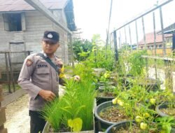 Polsek Kapuas Tengah laksanakan kegiatan Pengecekan Pemanfaatan lahan di Pekarangan Desa Pujon