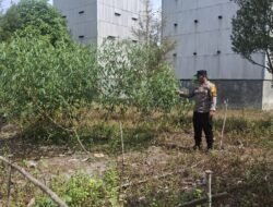Polsek Kapuas Tengah laksanakan giat Pengecekan Pekarangan lahan Desa Jangkang