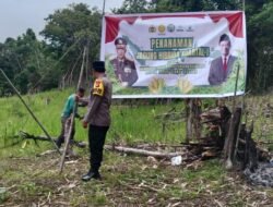 Bhabinkamtibmas Polsek Tanah Siang Selatan Bersama Warga Oreng Tanam Jagung Hibrida Kuartal I Ta. 2026
