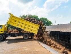 Holding Perkebunan Nusantara Perkuat Kemitraan Petani, PalmCo Catat Serapan 3,25 Juta Ton TBS Sepanjang 2025