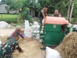 Babinsa Koramil 02/Sejangkung Bantu Warga Rontokkan Padi Hasil Panen