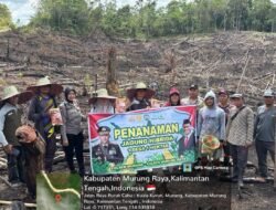 Dukung Program 1 Desa 1 Hektar, Polsek Murung Bersama Warga Desa Muara Ontu Tanam Jagung Hibrida