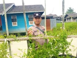 Anggota Polsek Kapuas Tengah melaksanakan kegiatan Pengecekan Pemanfaatan lahan Pekarangan di Desa Pujonn