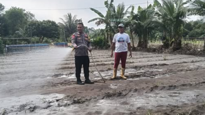 Bhabinkamtibmas Desa Natai Sedawak Laksanakan Sambang Kamtibmas dan Monitoring Ketahanan Pangan Pertanian Jagung