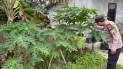 Polsek Kapuas Barat Dorong Ketahanan Pangan Lewat Pemanfaatan Pekarangan Bergizi di Mandomai