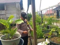Polsek Kapuas Tengah laksanakan giat Pengecekan Pekarangan lahan kebun di Desa pujon