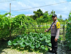Polsek Kapuas Tengah laksanakan giat Pengecekan Pekarangan lahan kebun Desa pujon