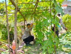 Anggota Polsek Kapuas Tengah telah melaksanakan kegiatan Pengecekan Pemanfaatan lahan Pekarangan Desa Pujon