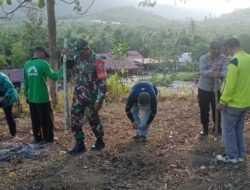 Dukung Ketahanan Pangan Nasional, Danramil 05/Pemangkat Hadiri Penanaman Jagung Kuartal III